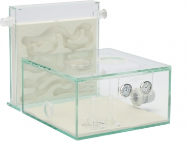 ANTCUBE Starter Set L - 20x20 - Gips